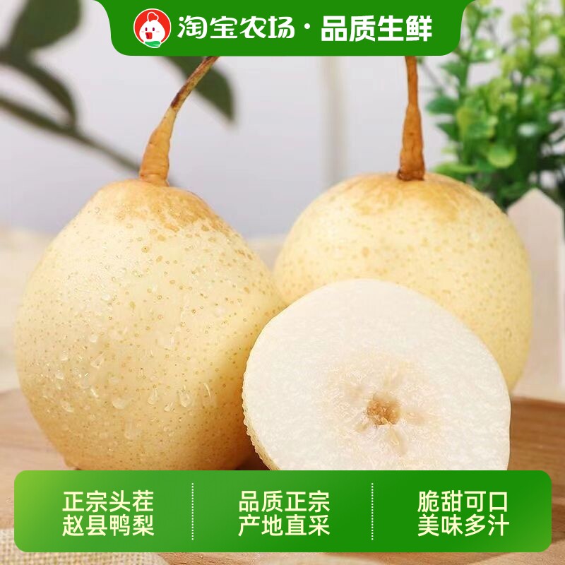 河北水晶梨赵县鸭梨应季水果新鲜梨子非皇冠梨农场直发买菜脆甜图片