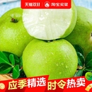 当季 梨子酥脆一号翠冠梨早梨安徽砀山梨酥脆多汁
