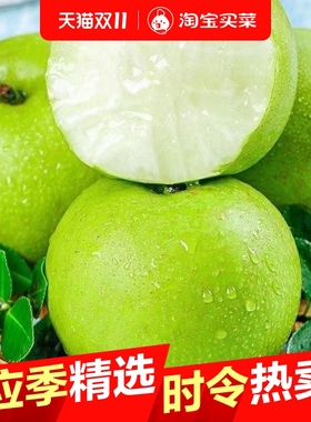 当季梨子酥脆一号翠冠梨早梨安徽砀山梨酥脆多汁