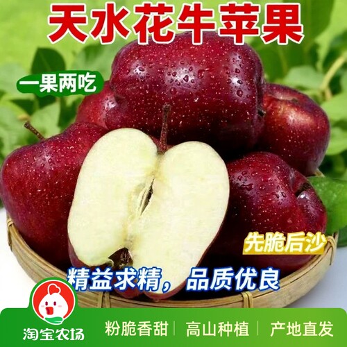 苹果当季香甜糯苹果精品新鲜水果