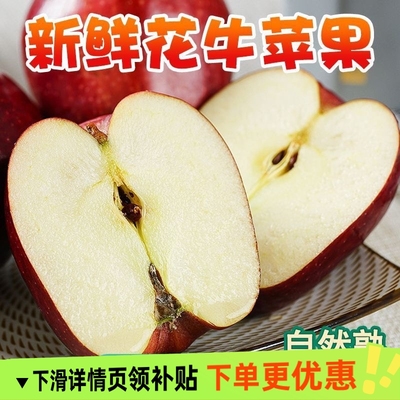 花牛苹果天水正宗新鲜应季水果粉面脆甜蛇果宝宝辅食平果整箱包邮