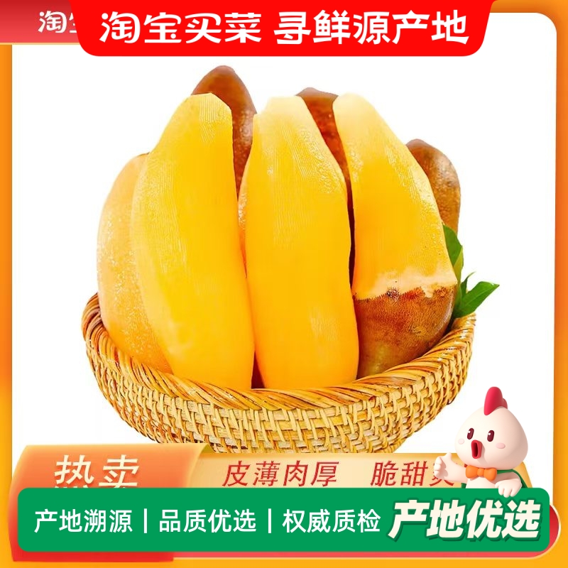 正宗云南高山雪莲果