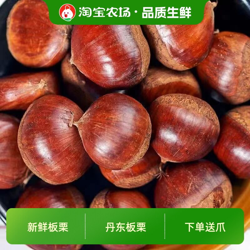 板栗2026年丹东正宗新鲜产地直发生栗子野生毛栗子批发包邮农场