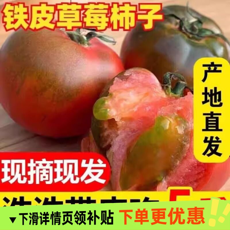 正宗铁皮草莓柿子新鲜当季西红柿生吃水果东北番茄酸甜口顺丰包邮