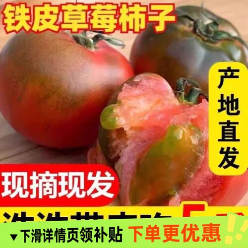 正宗铁皮草莓柿子新鲜当季西红柿生吃水果东北番茄酸甜口顺丰包邮