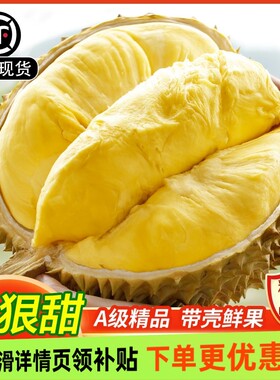泰国进口当季新鲜金枕榴莲树熟带壳鲜果香甜整箱顺丰包邮托曼尼