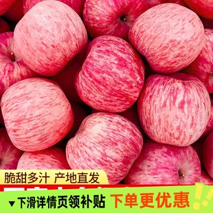 正宗山东烟台大苹果当季新鲜水果应季产地直发