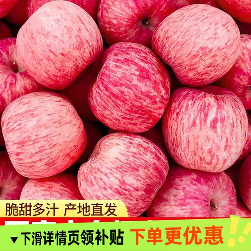 正宗山东烟台大苹果当季新鲜水果应季产地直发脆甜现摘自提果业