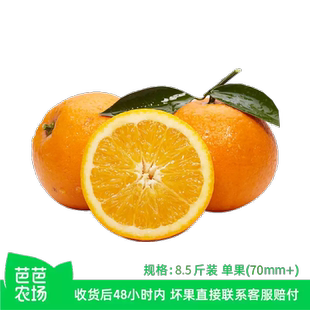 【芭芭农场】国产脐橙8.5斤单果70mm+