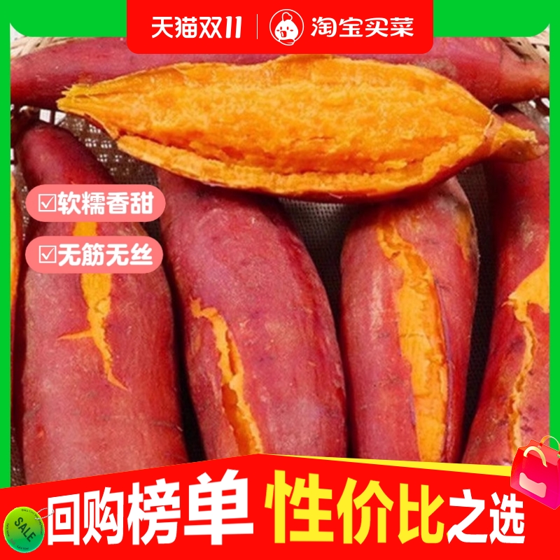 正宗沙地蜜薯9斤沙地红薯现挖新鲜黄心番薯粉糯新鲜地瓜板栗薯