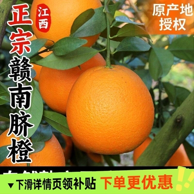 江西赣南脐橙橙子新鲜赣州脐橙水果现摘手剥应季橙子甜橙整箱包邮