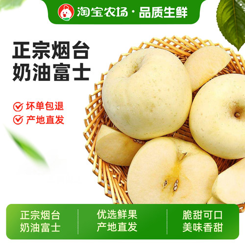 山东烟台黄金奶油富士苹果
