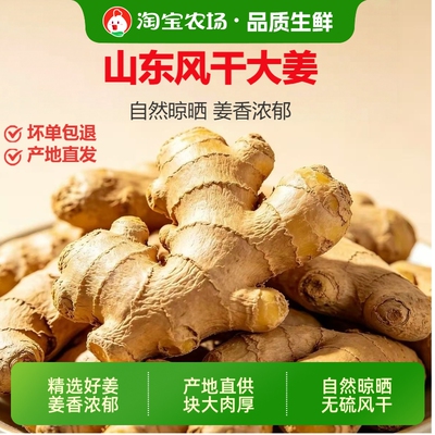 地头生姜价正宗山东大姜老姜新鲜农家老黄姜干姜农场风干食用直发