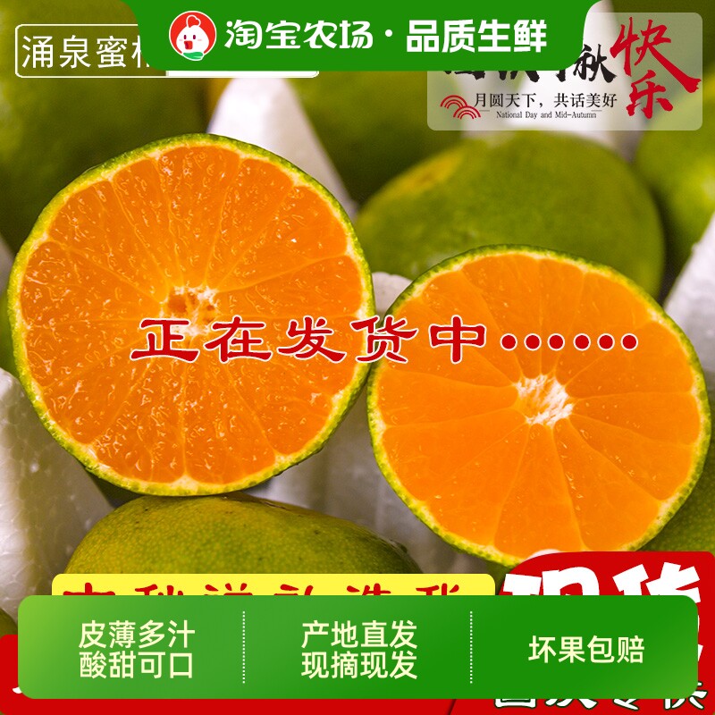 时令正宗临海涌泉蜜桔大分1号当季新鲜水果橘子农场青皮清香现摘