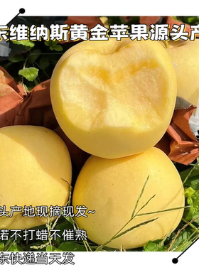 山东维纳斯黄金苹果新鲜水果当季整箱雀斑奶油富士冰糖心丑苹果