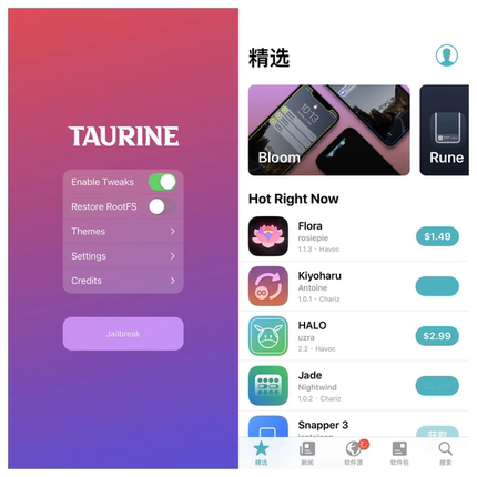 苹果iPad手机iPhone在线越狱UN多巴胺牛磺酸SILEO闪退CYDIA修复