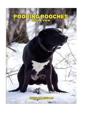 跨境 2025 Pooping Dogs A4 Size Wall Calendar 雪地狗 日历挂历