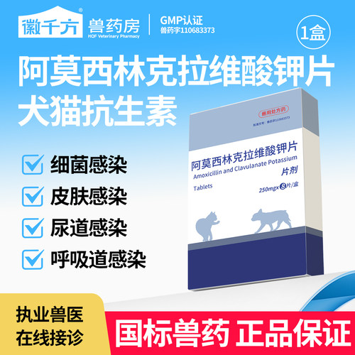 阿莫西林克拉维酸钾片猫狗用兽药