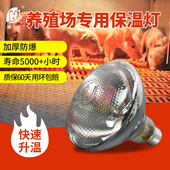 保温灯养殖场专用保暖灯取暖灯烤灯猪用小鸡育雏养殖猪场加热灯泡