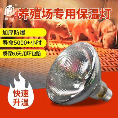 保温灯养殖场专用小鸡猪场保暖灯