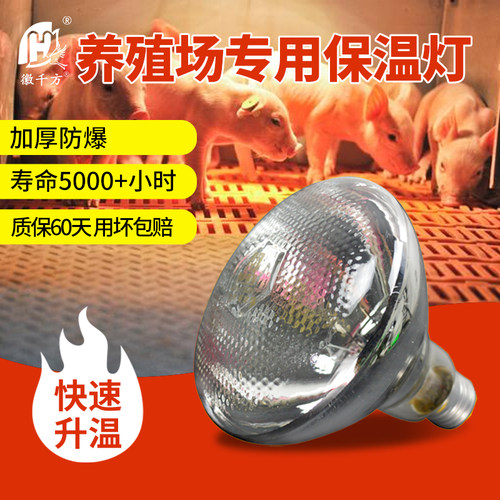保温灯养殖场专用小鸡猪场保暖灯
