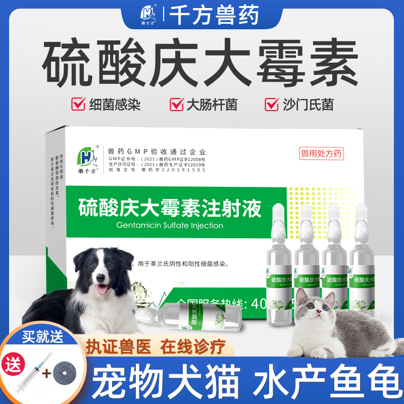 宠物用庆大霉素注射液猫犬肺炎