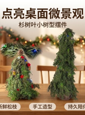 杉树叶小树型摆件橱窗陈列森系