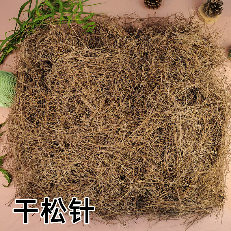 干松针铺平方装饰园艺覆盖鸟窝垫