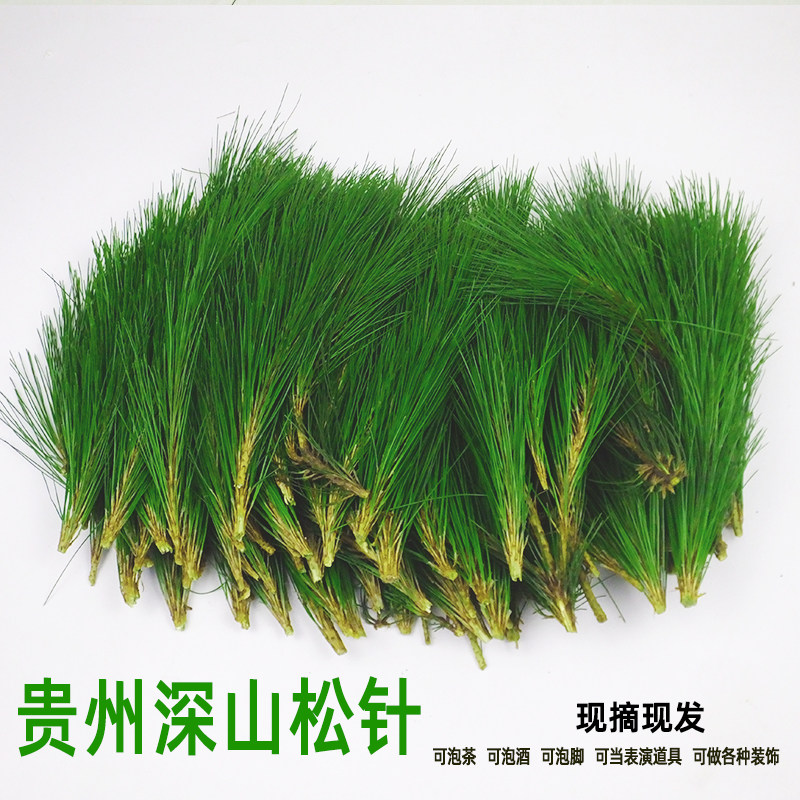 新鲜马尾松针2斤 圣诞树真实松枝布景道具复古装饰现采松树叶松针