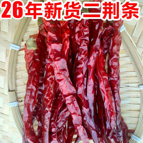 微辣特香二荆条干辣椒泼辣子不辣