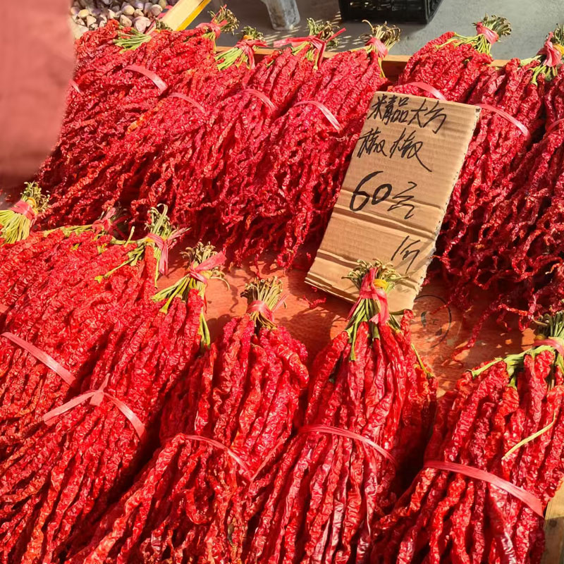 贵州大方线椒散装贵州二荆条皱椒