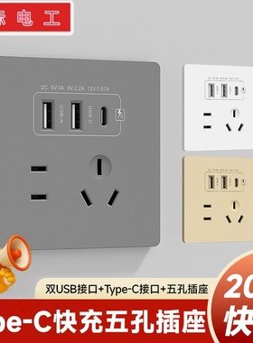 国际电工86型20W快充USB插座开关面板墙壁手机充电Type-c家用五孔