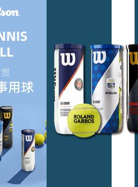 威尔胜Wilson网球上海大师赛法网美网专业比赛网球3粒装训练用球