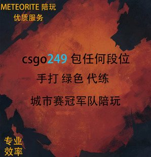 CSGO官匹上分带上世界排名完美陪玩陪练csgo官方竞技优先匹配上分