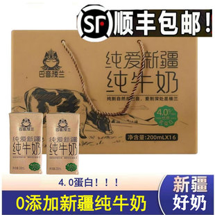 新疆巴音楼兰纯牛奶4.0g蛋白纯爱系列16盒整箱学生早餐营养奶