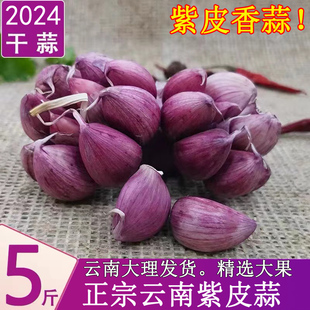 2024云南紫皮大蒜新干蒜红皮香蒜多瓣蒜大蒜种籽农家种植 5斤大果