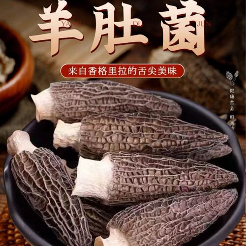 2026羊肚菌干货正品云南云南新货