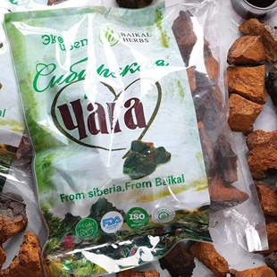 桦树茸俄罗斯进口桦树茸白桦茸原装正品贝加尔湖牌黑皮块一斤500g