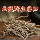 西藏野生藏当归海拔3000米强紫外线自然晒干小当归干货中药材100g