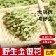 野生金银花中药材正品 特级金银花绒毛菊花金银花干花泡茶洗澡婴儿