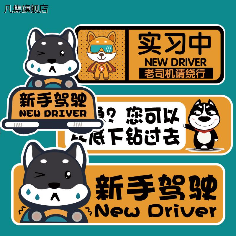 女司机新手上路车贴强磁性实习女司机贴纸实习期车贴纸统一实习牌