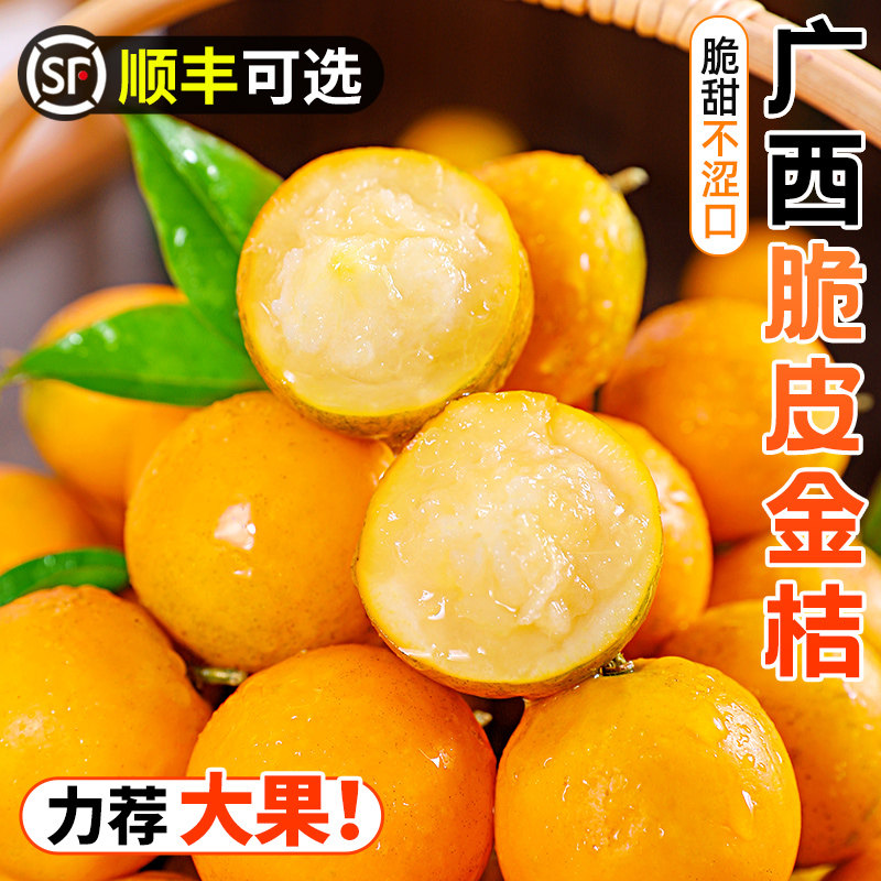 广西脆皮金桔10斤小橘子融蜜金柑安新鲜纯甜当季孕妇水果整箱包邮