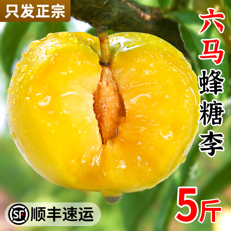 【官方推荐】六马蜂糖李|正宗|