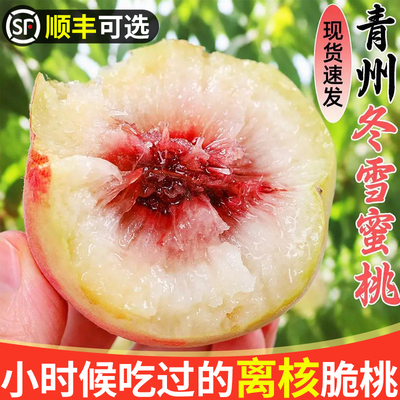脆甜青州蜜桃【潍坊直发才正宗】