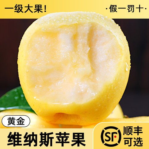 维纳斯苹果丨奶香味丨甄选好果