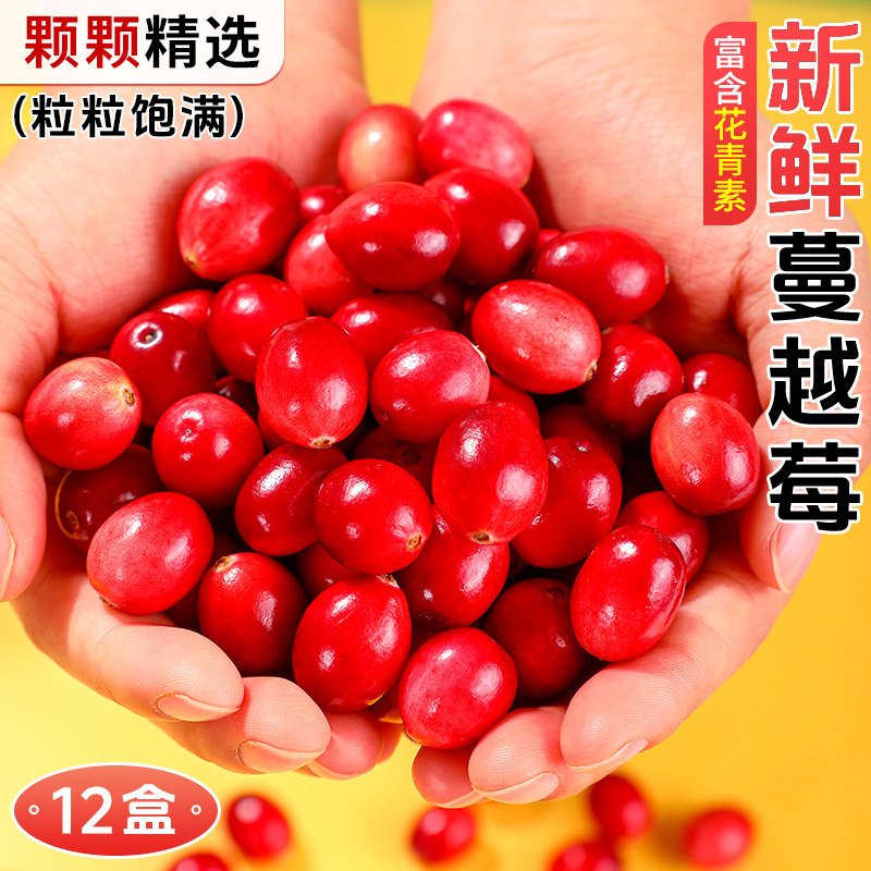 蔓越莓鲜果当季新鲜水果12盒抚远曼越树莓果酱橘鹤莓黑龙江小红莓