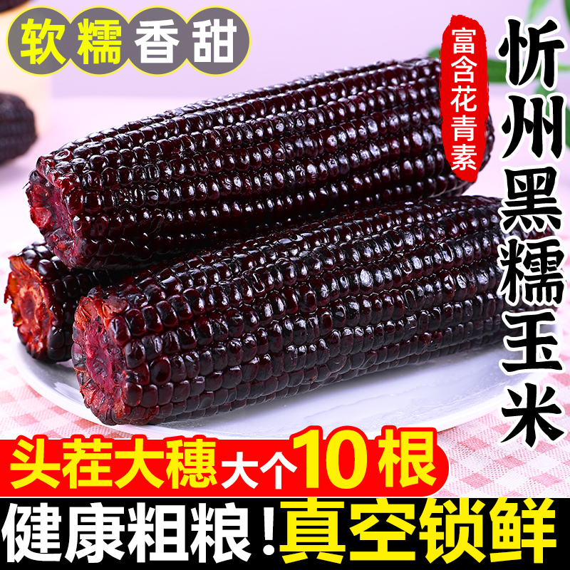 黑糯玉米！头茬大穗！代餐食用！