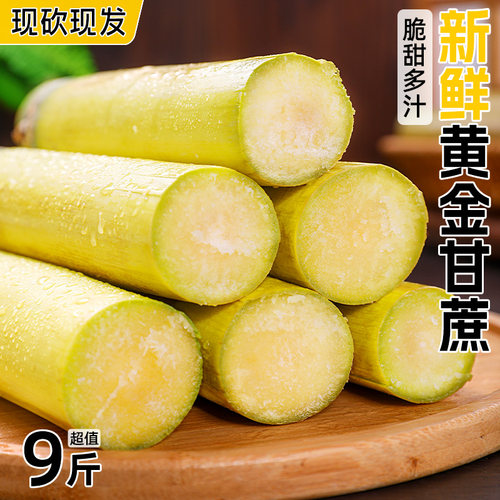 【新鲜黄金甘蔗】脆甜多汁无渣