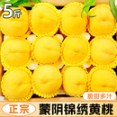 锦绣黄桃正宗蒙阴桃子新鲜水果5斤特大果当季 头茬脆甜软油桃 包邮