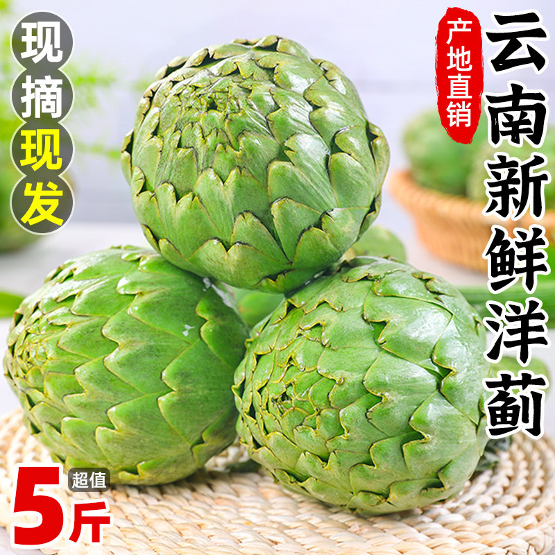 云南新鲜洋蓟5斤当季蔬菜蓟花西餐食材法国百合朝鲜蓟种现摘包邮